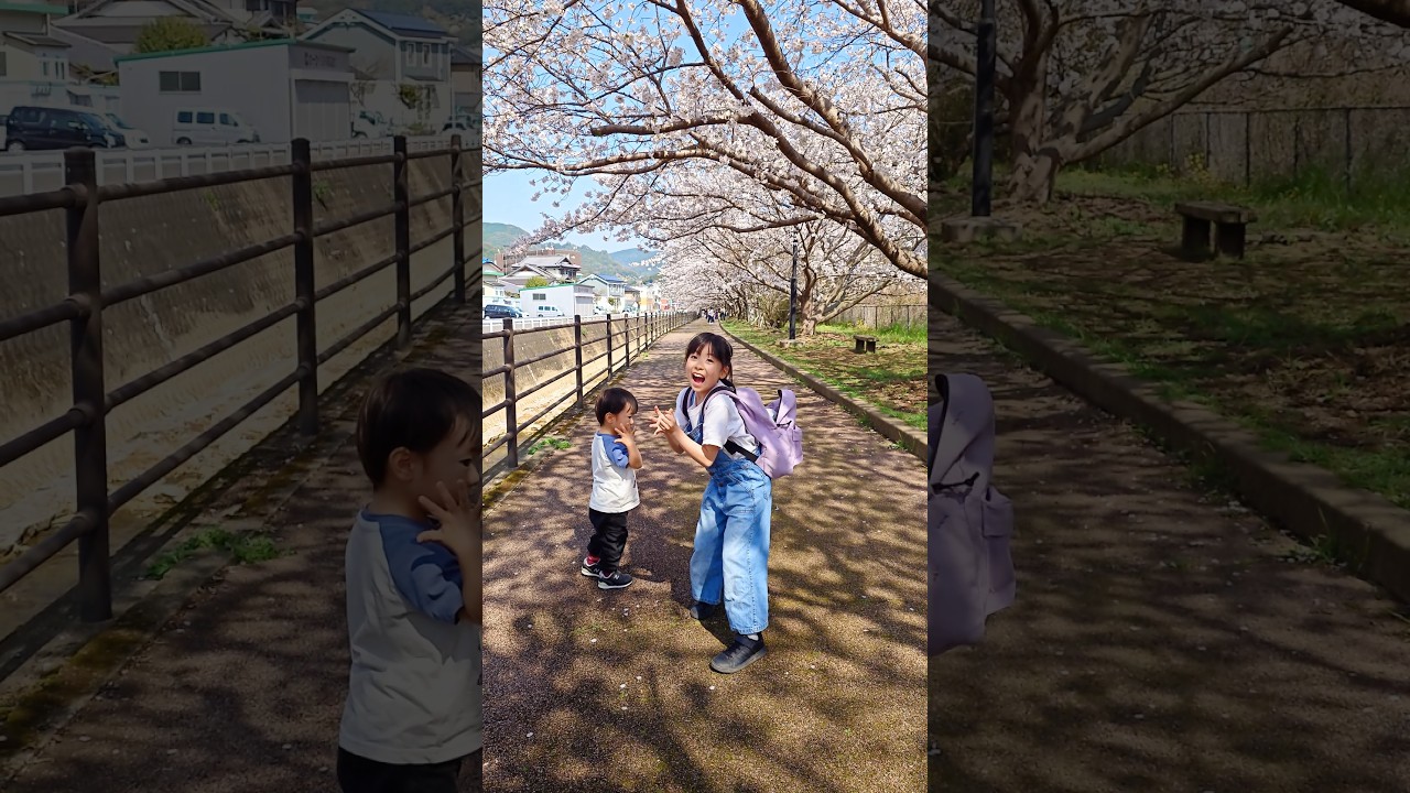 桜パラパラ〜🌸【♪Jumpshot - Dawin】#リュックダンス #ジャンプショット #踊ってみた #dance #dancechallege #fyp #shorts #funny