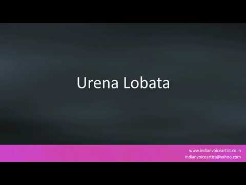Pronunciation of the word(s) "Urena Lobata".