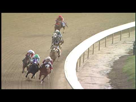 LAUREL PARK 1 5 2019 RACE 2