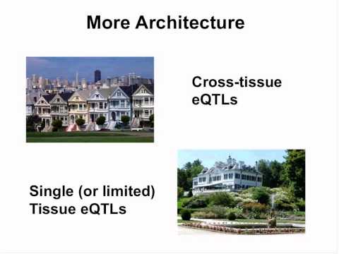 GTEx X NHGRI catalog - Nancy Cox, University of Chicago