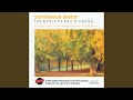 I M A Believer Instrumental Cover