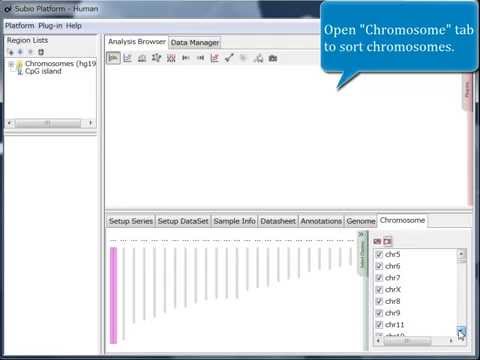 Create A Genome hg38