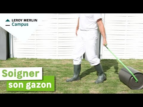 comment traiter un jeune gazon