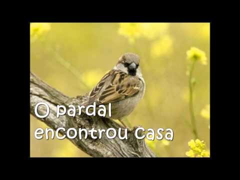 Grupo Sementes - Teus altares