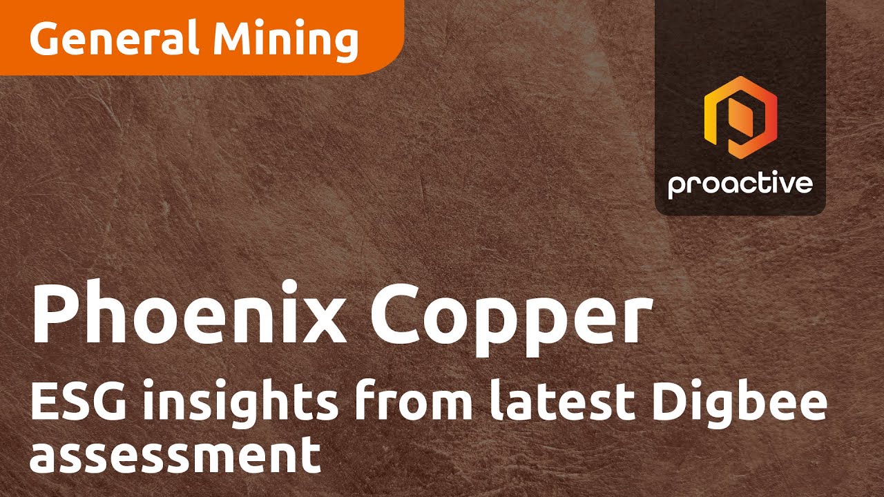 Phoenix Copper's ESG insights from latest Digbee assessment