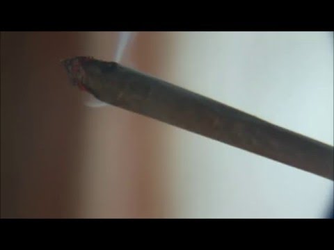 download lagu mp3 mp4 Dds Free, download mp3 Dds Free free download mp3, download mp3 Dds Free