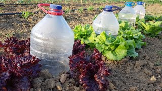 PET ŞİŞE İLE OTOMATİK SULAMA SİSTEMİ, How to Make Drip Irrigation from