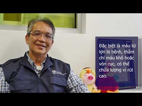 Response to rumours on African swine fever (ASF) treatment in Viet Nam