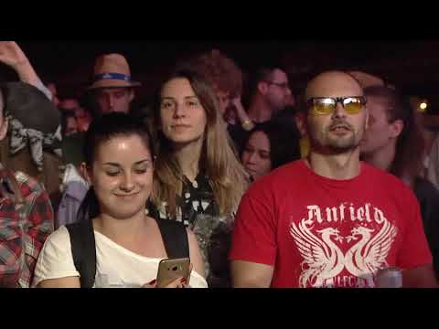 Nektar OK Fest 2018 - Hladno pivo