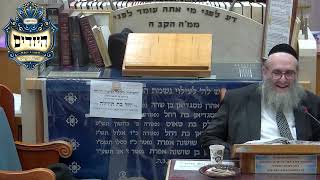 הרב יהושע ויזגן מסכת חולין דף סד עמוד ב' (בית הכנסת מוסאיוף) - התמונה מוצגת ישירות מתוך אתר האינטרנט יוטיוב. זכויות היוצרים בתמונה שייכות ליוצרה. קישור קרדיט למקור התוכן נמצא בתוך דף הסרטון