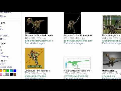 My top 5 favorite dinosaurs.