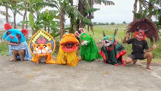 Download lagu Looking for Barongan frogs and friends mp3