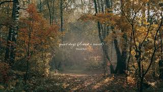a walk in the woods on a peaceful autumn morning