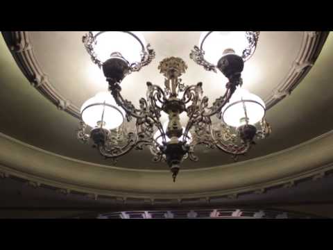 WKCP WORLD CP DAY CELEBRATION 2016