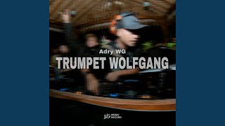 Download lagu TRUMPET WOLFGANG mp3