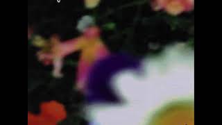 The Softies - Fortune