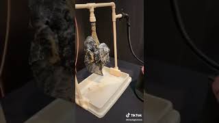 Download lagu Perbedaan paru paru perokok sama bukan perokok mp3 Download lagu Perbedaan paru paru perokok sama bukan perokok mp3