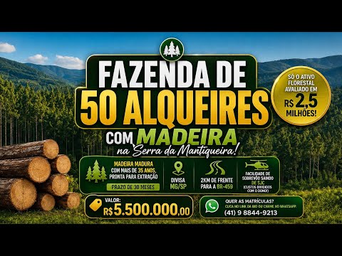 Oportunidade de Investimento: Fazenda de 50 Alqueires com Madeira em Delfim Moreira (MG)