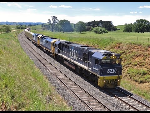 8216+8172+8173 with Manildra container train #8138