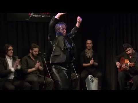 CASA PATAS, FLAMENCO EN VIVO #54 - EL FARRU, BAILAOR