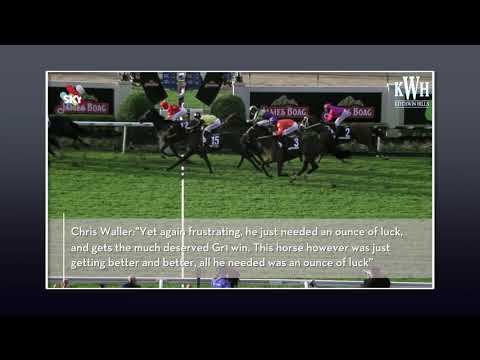 Counterattack Doomben 10,000 2017