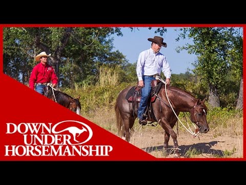 , title : 'Clinton Anderson: How to Train Your Horse to Ride in a Group - Downunder Horsemanship'