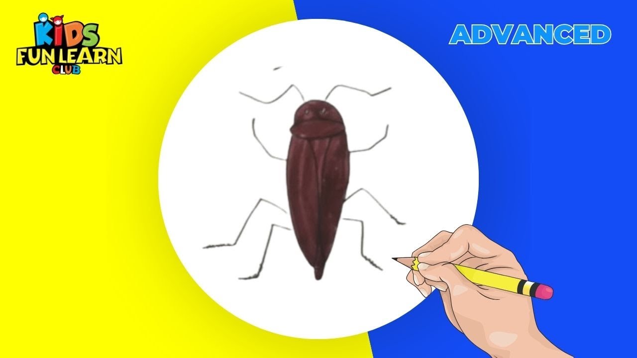 How to Draw Cockroach