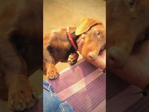 Bfadari ki mishal 😊😍🥰❤️