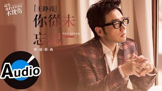 王錚亮 - 你從未忘記 You Never Forget（官方歌詞版）- 電視劇《涼生，我們可不可以不憂傷》情感插曲