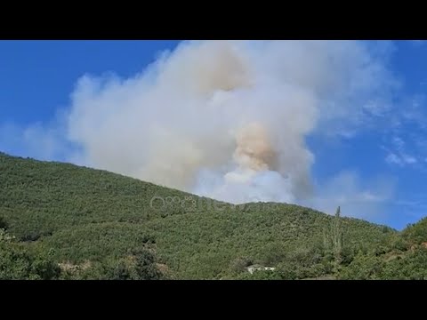 Shkodër, vatër e madhe zjarri  në pyjet e Prekalit