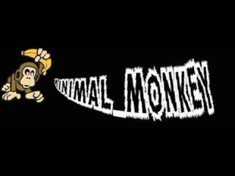 Bottles- Minimal Monkeys