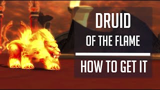 DRUID OF THE FLAME - how to get fire cat form for your druid! #guide #worldofwarcraft #mmorpg