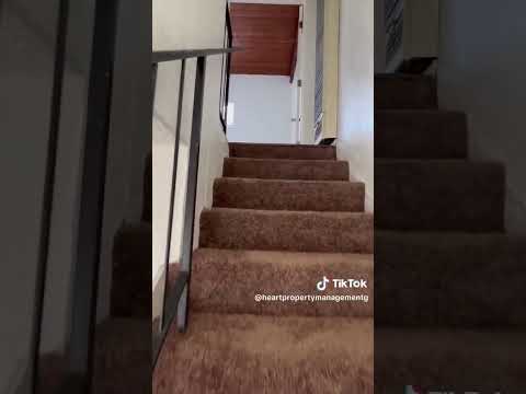 LN4419 - Video 2 of 2