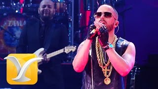 Yandel, Myspace, Festival de Viña 2015 HD 1080p