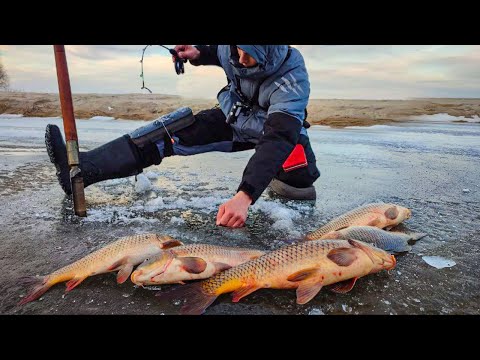  
            
            Секреты успешной зимней рыбалки на сазана: от снаряжения до поклевки крупной рыбы

            
        