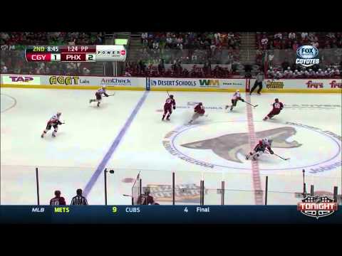 Calgary Flames at Phoenix Coyotes   03\15\2014