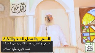 السعي والعمل لنصرة الدين وعمارة الدنيا | قصة داود عليه السلام image