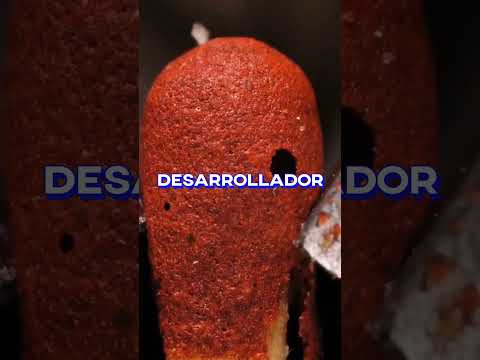 un hombre honesto 🤣💼