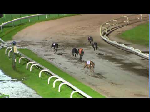 2020 RPGTV STAYERS TROPHY - HEAT 1 - T3 SPARTA MASTER