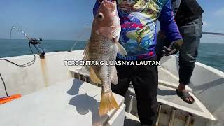 Download lagu May - Cintaku Sewangi Kasih Ku.. ( Lirik ) mp3