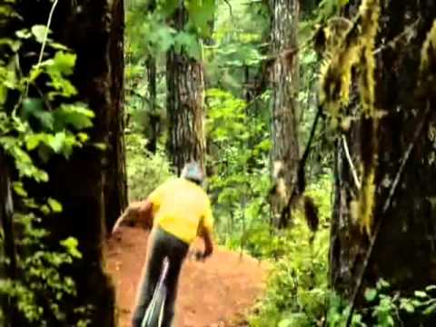 New World Disorder 10 pr.5