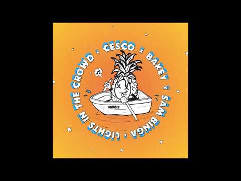 Cesco, Bakey, Sam Binga - Lights In The Crowd