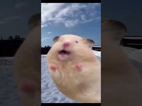 Oughhh I’m getting dizzy 😵‍💫