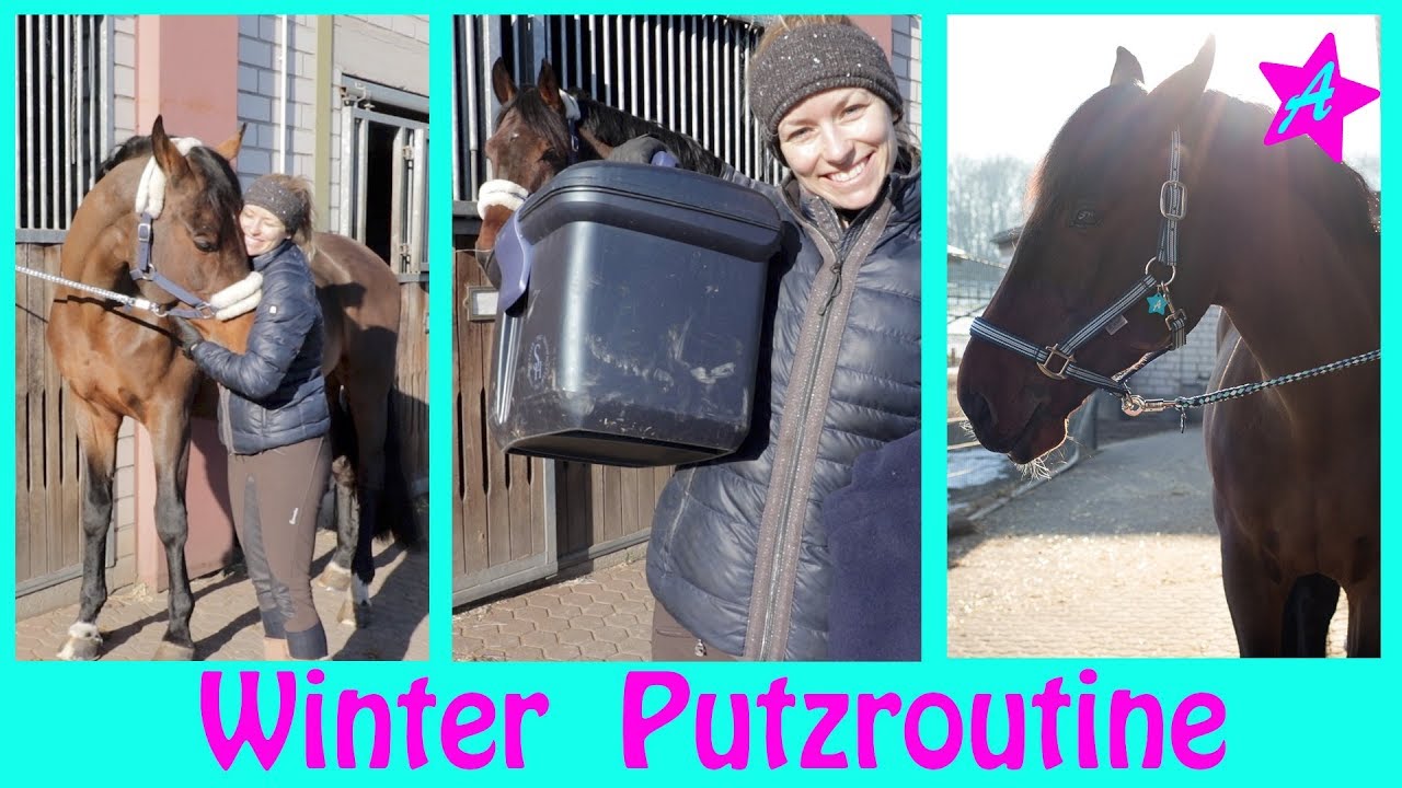 PUTZROUTINE & Kuscheln I Pferde Pflege in den kalten Monaten I Winter Edition