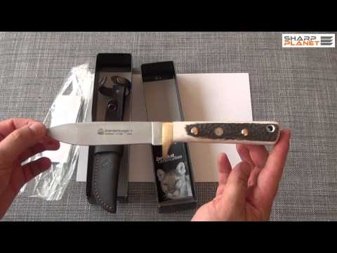 PUMA IP Brandenburger Stag