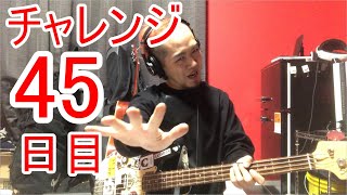 【SKUNKSノボルの】ベース初心者が100日間ベースを弾いたらどれほどうまくなるのか？45日目【チャレンジ動画】