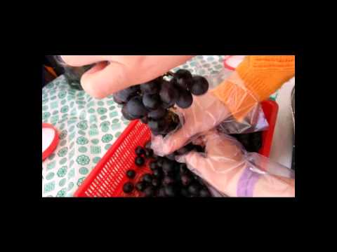 와인 축제 2014.10.25 영남이공대