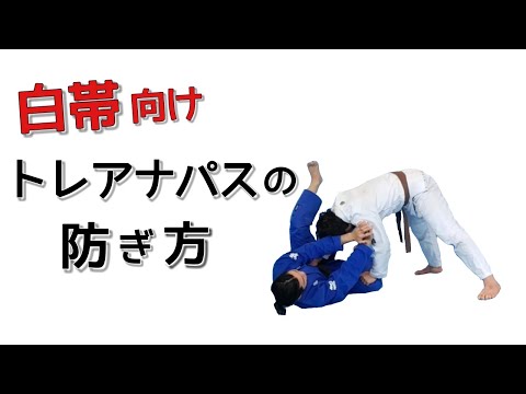 【白帯向け】トレアナパスへのガードリテンション