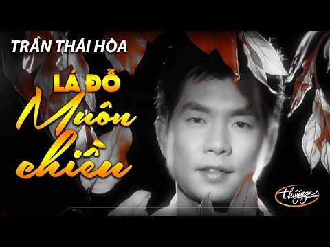 Video thumbnail for Lá Đổ Muôn Chiều