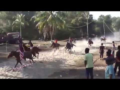 Akhir Kuda PADI A - 03 April 2015@Trek Lacor